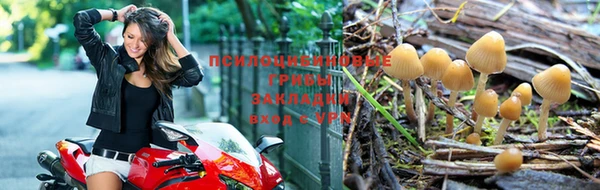 стаф Верхнеуральск